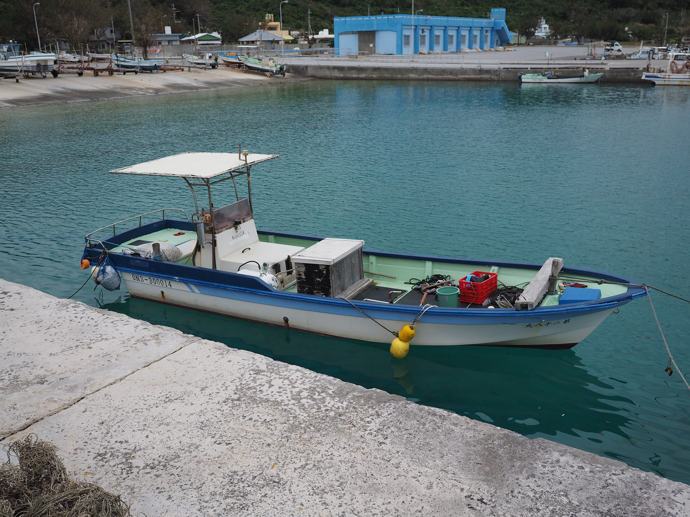 P1180206.jpg