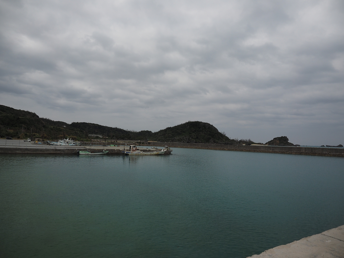 P1180208.jpg