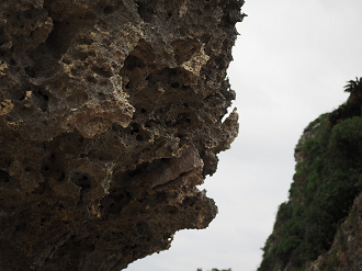 P1180225_thumb.png