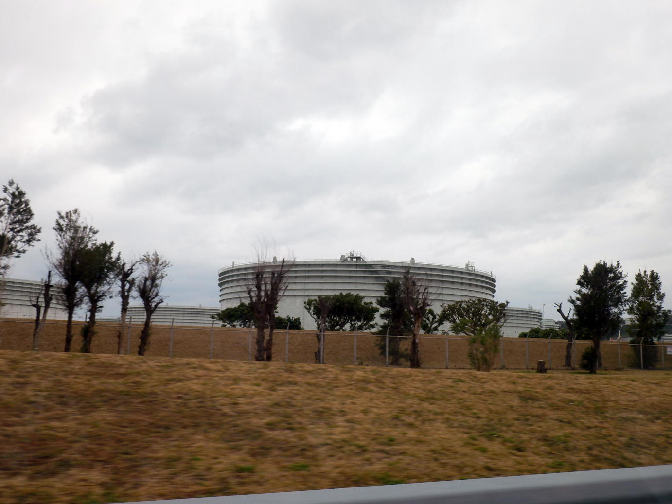 P1180228.jpg