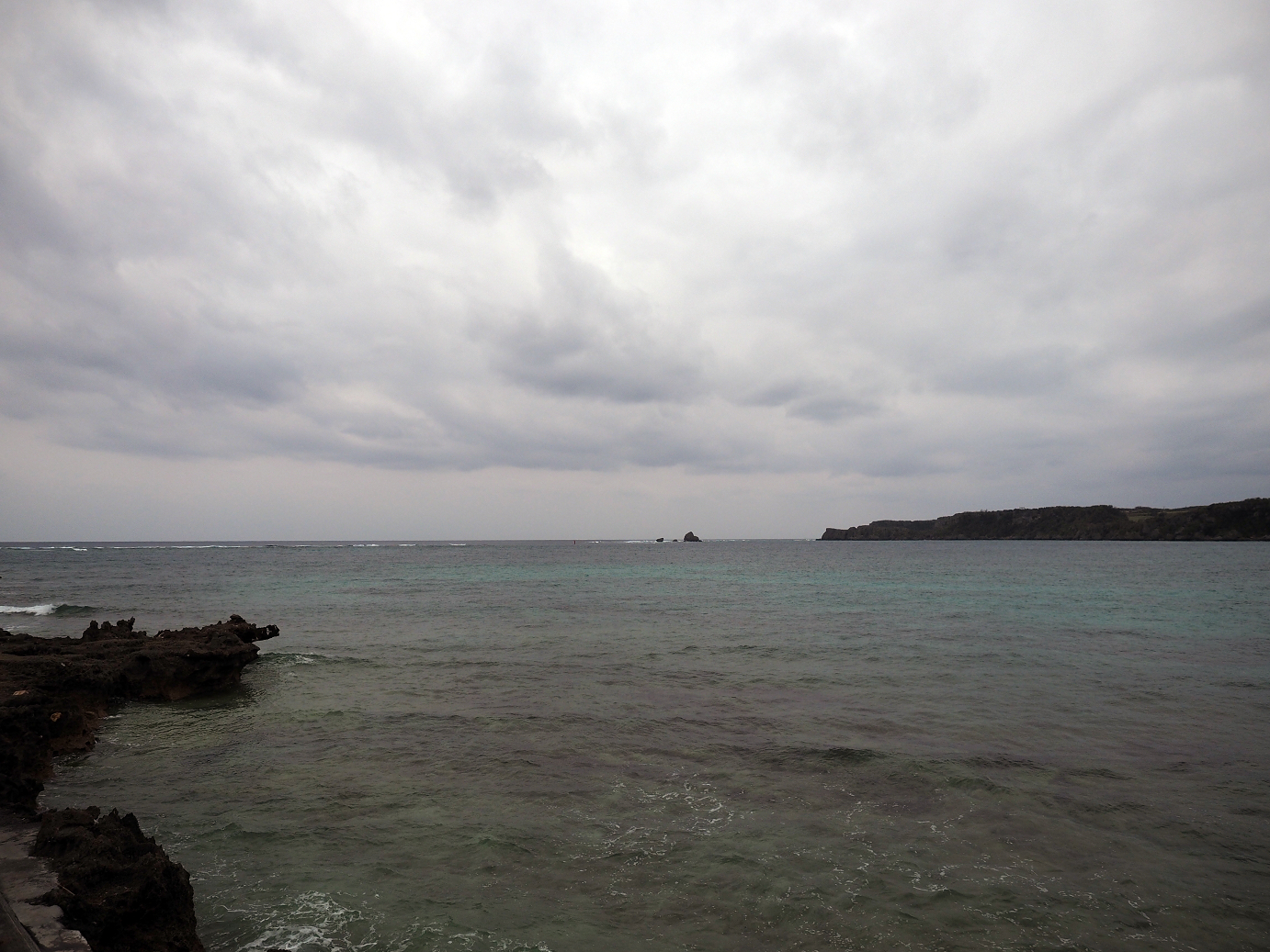 P1180229.jpg