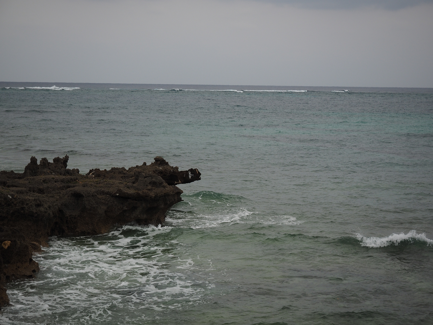 P1180231.jpg
