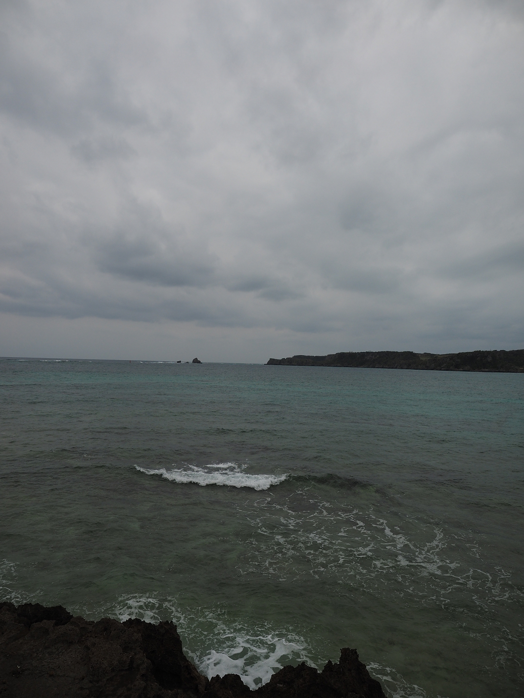 P1180233.jpg