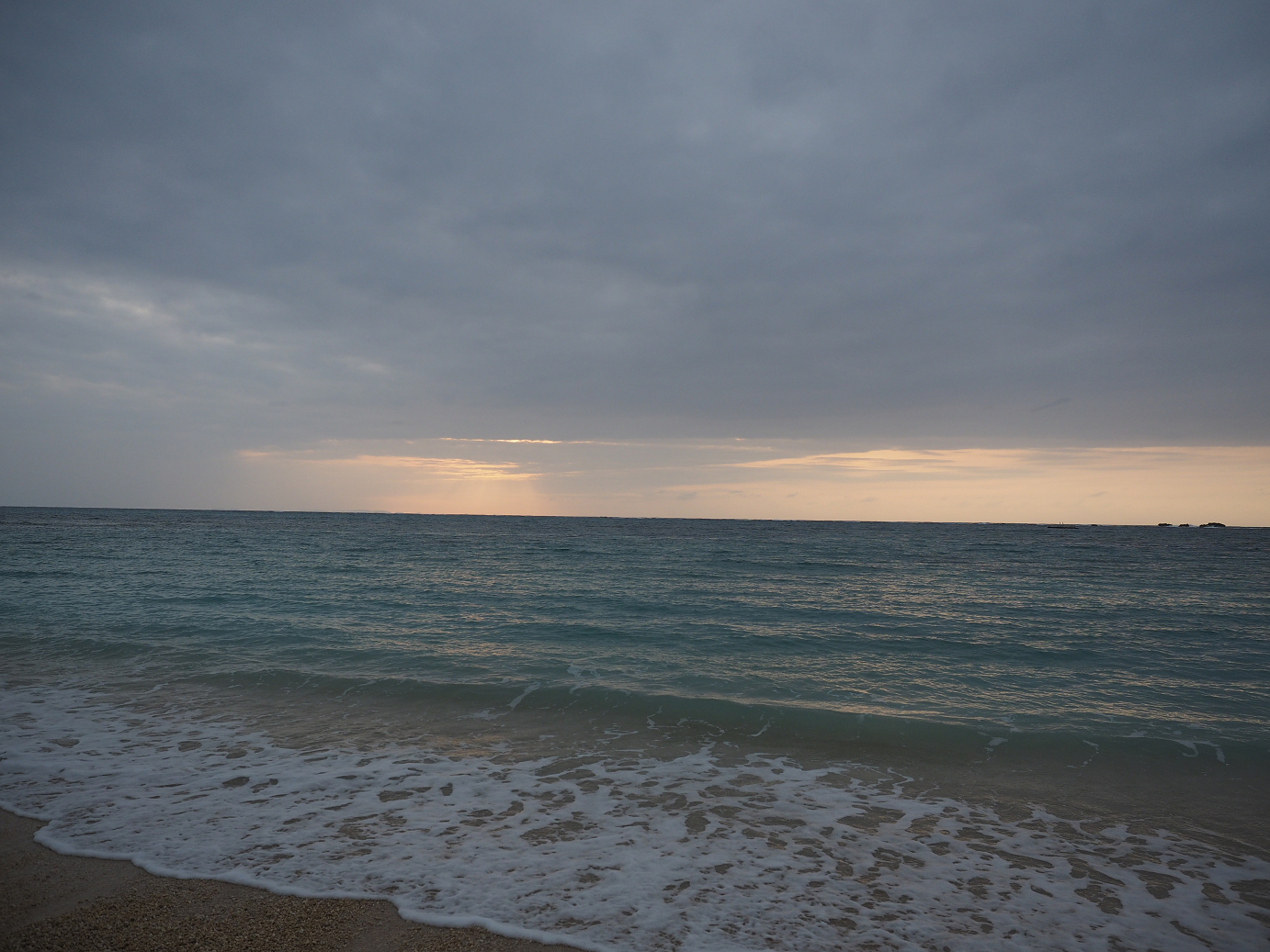 P1180235.jpg