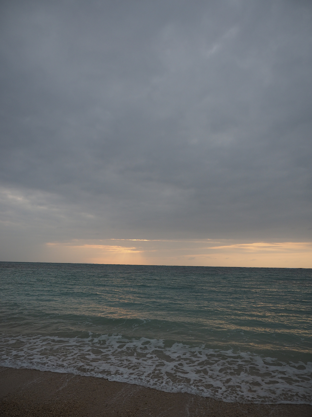 P1180236.jpg
