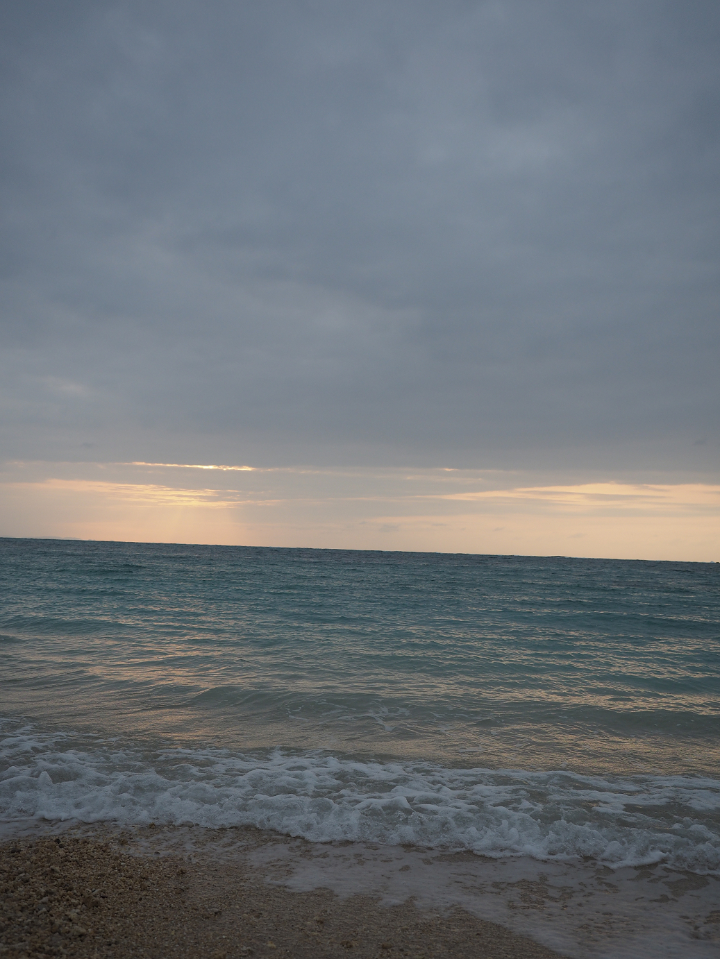 P1180241.jpg