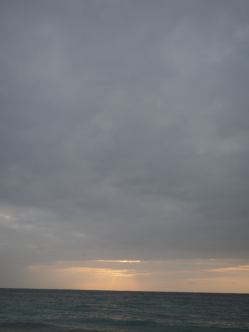P1180243.jpg