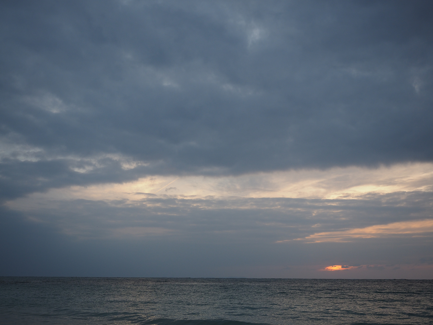 P1180267.jpg