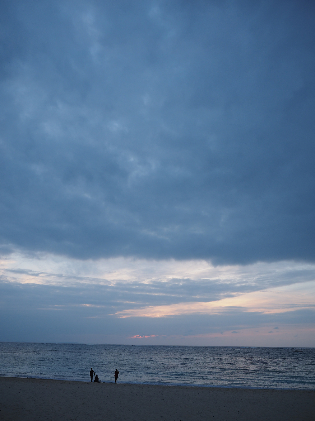 P1180273.jpg