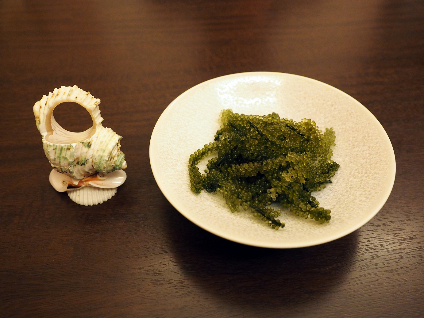 P1180287.jpg