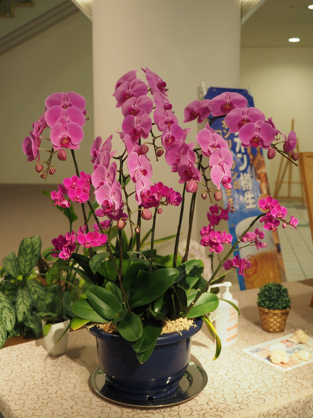 P1180300.jpg