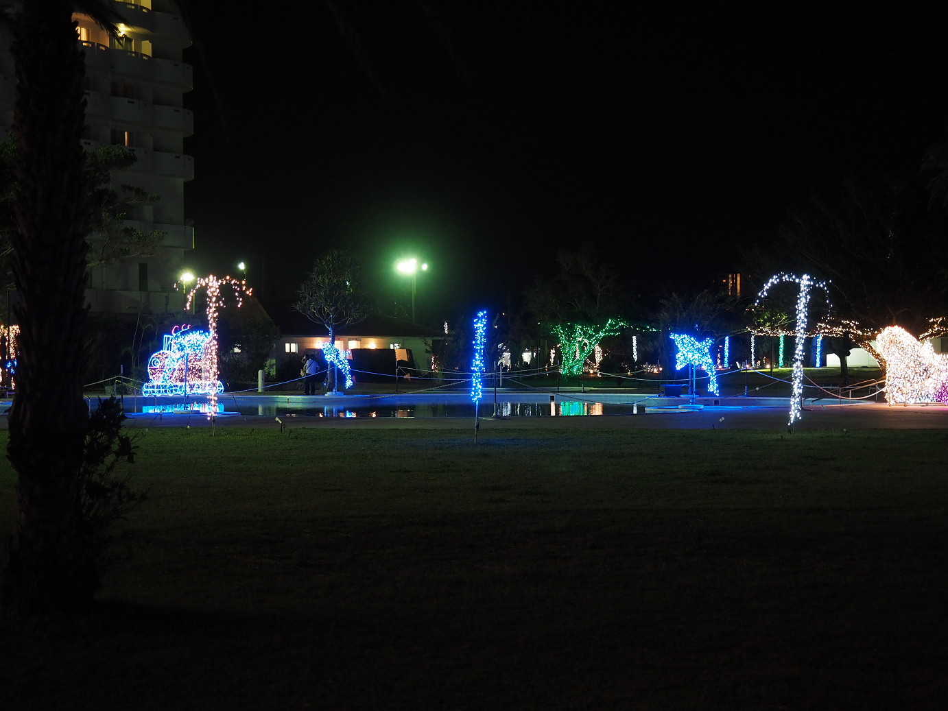 P1180316.jpg