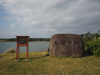 P1191118_thumb.png