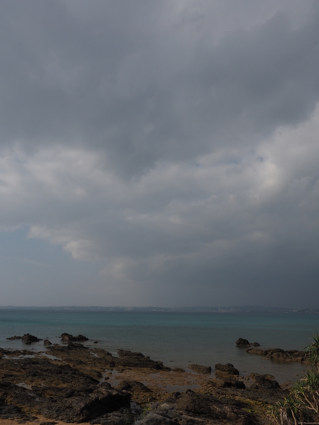 P1191146.jpg