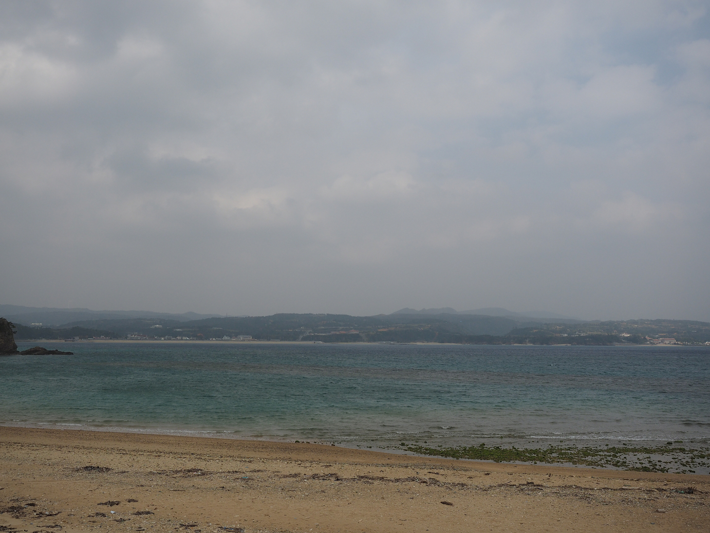 P1191254.jpg