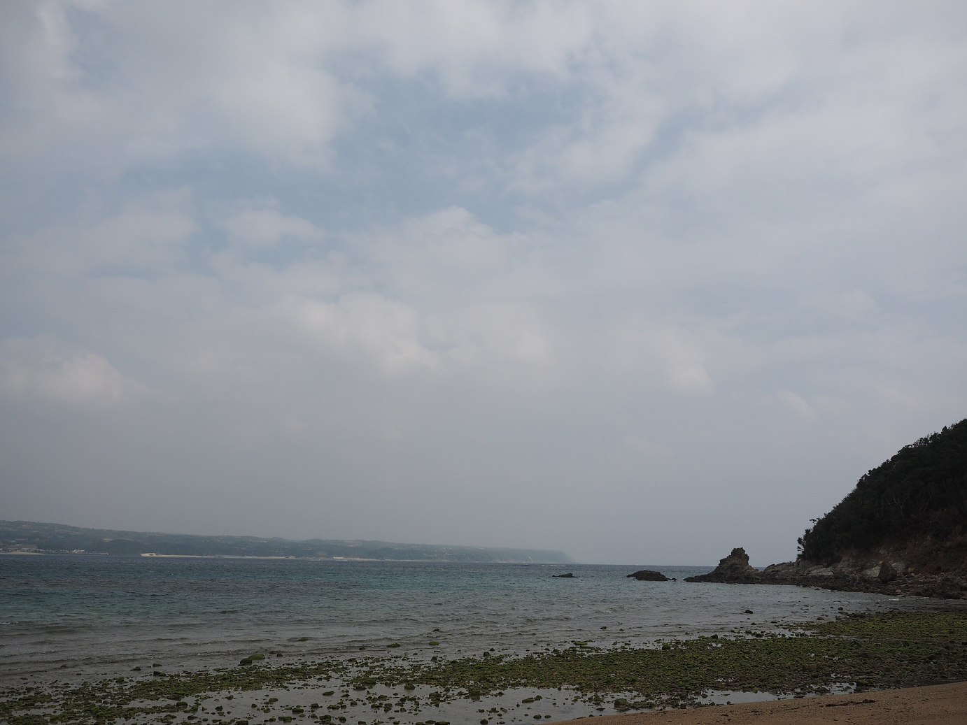 P1191258.jpg