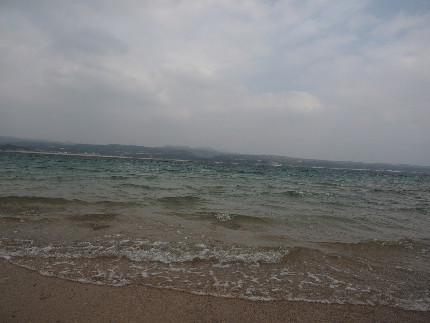 P1191263.jpg