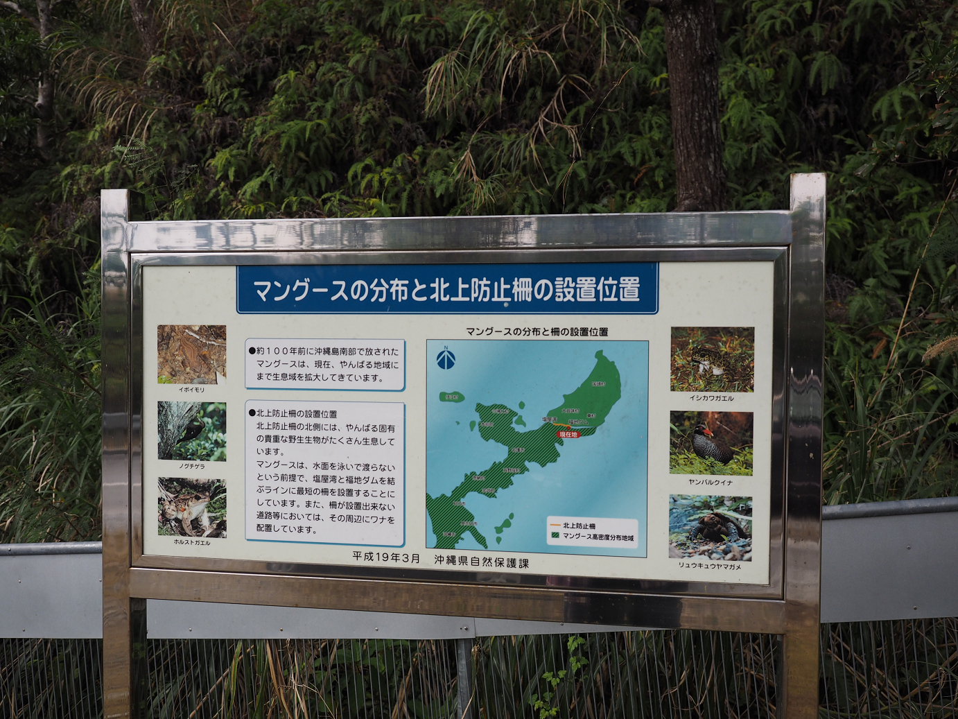 P1191272.jpg