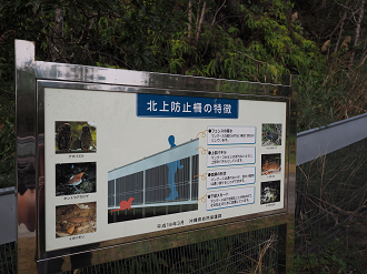P1191273_thumb.png