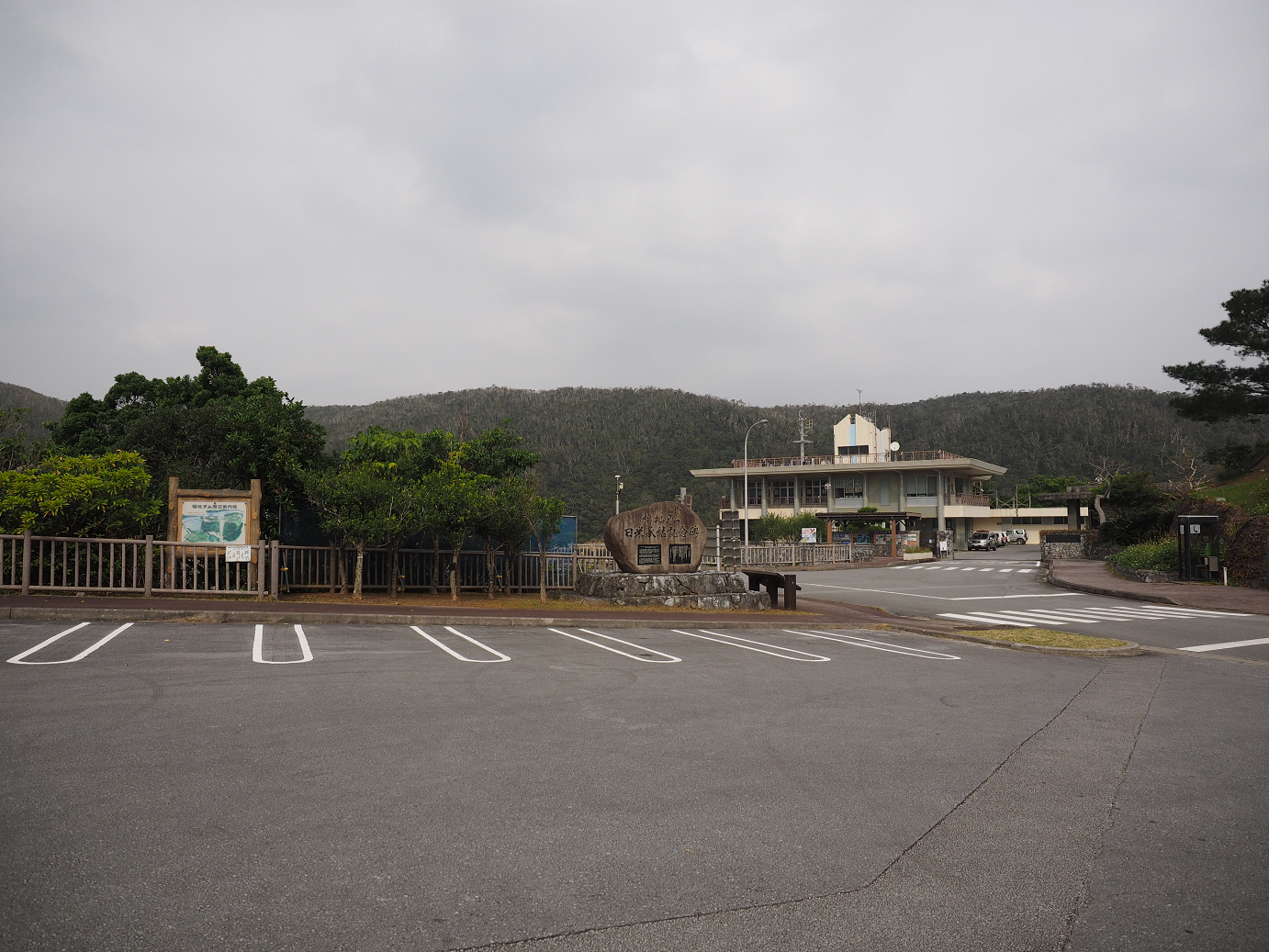 P1191384.jpg