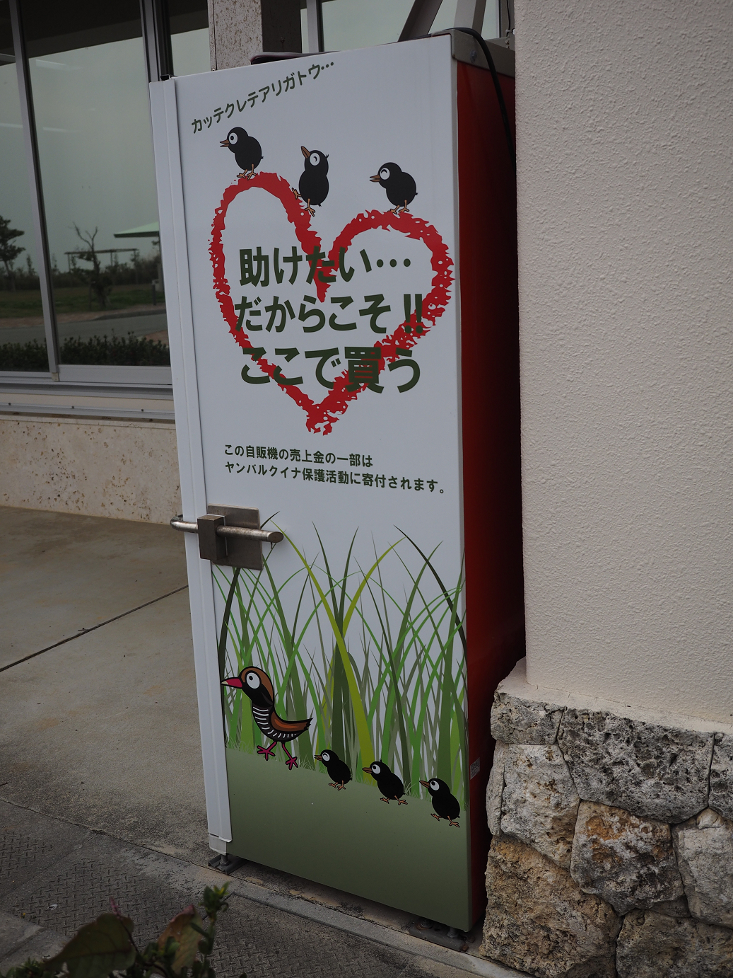 P1191419.jpg