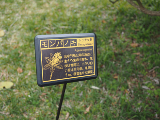 P1191491_thumb.png