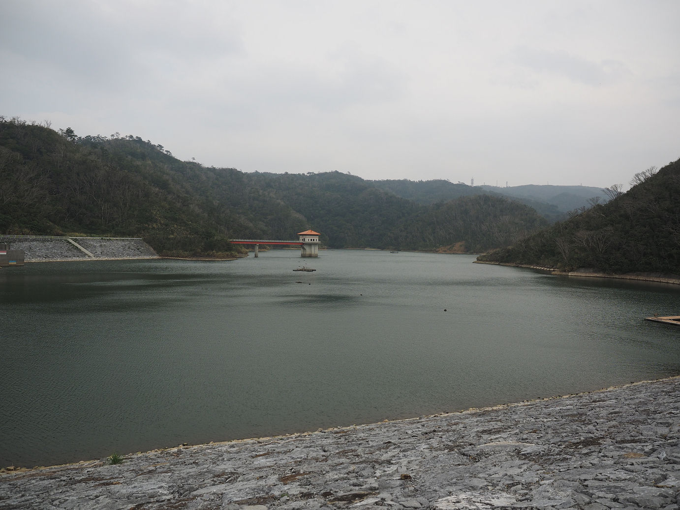 P1191497.jpg