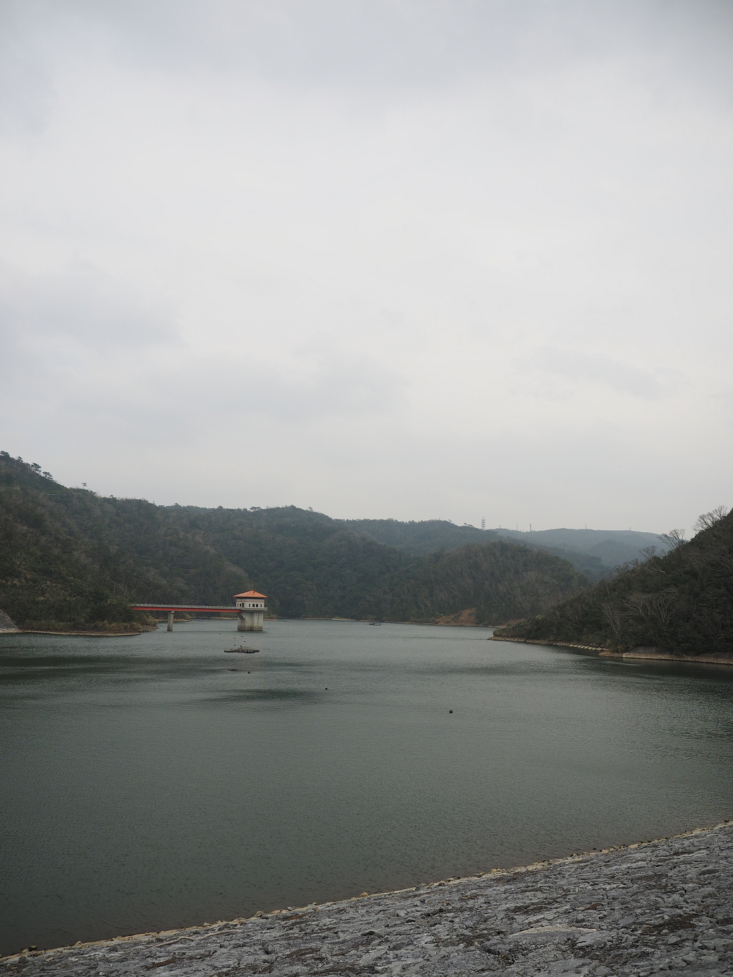 P1191499.jpg