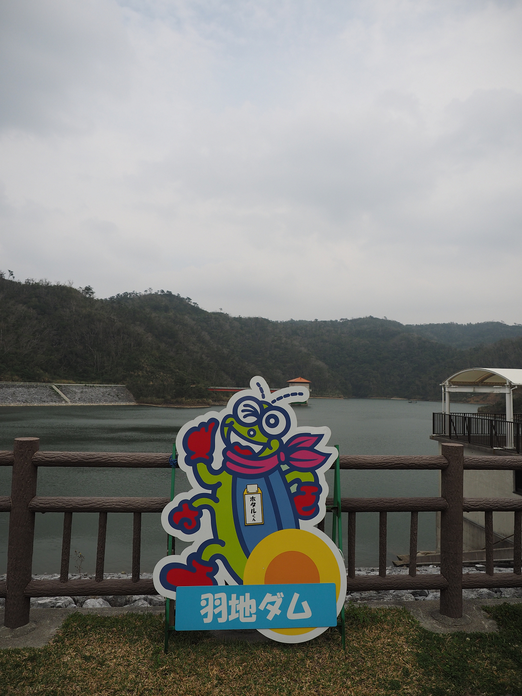 P1191508.jpg