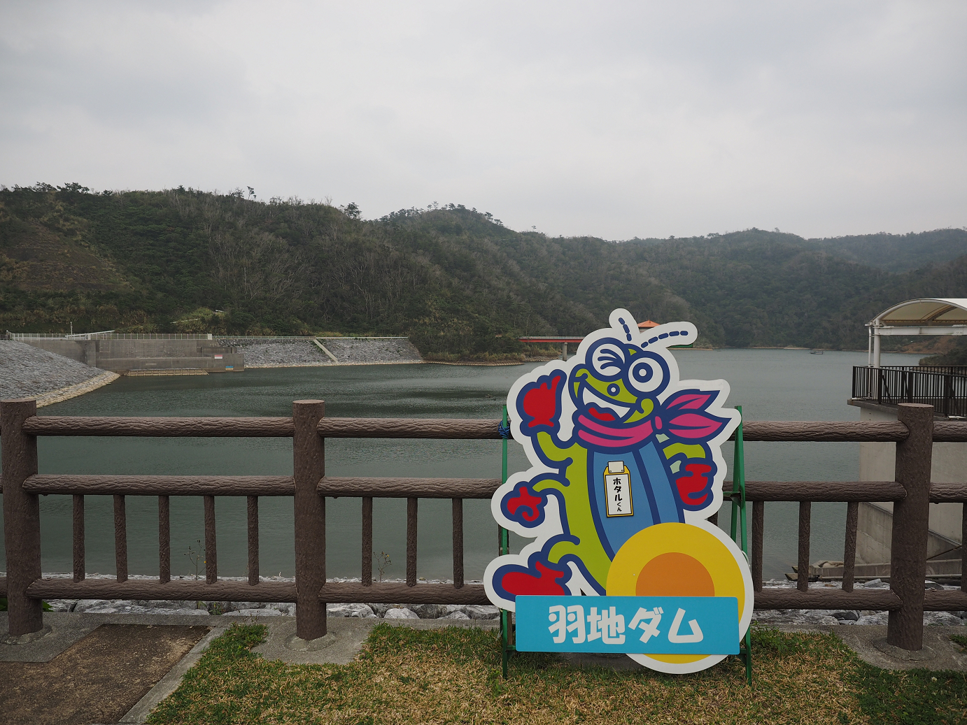 P1191509.jpg
