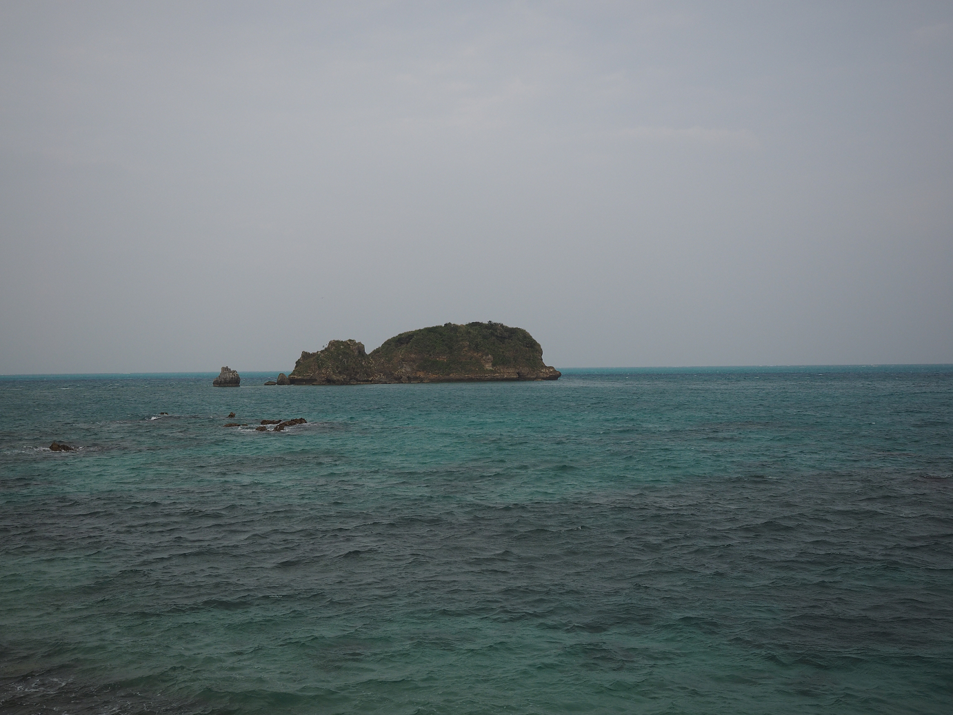 P1191513.jpg