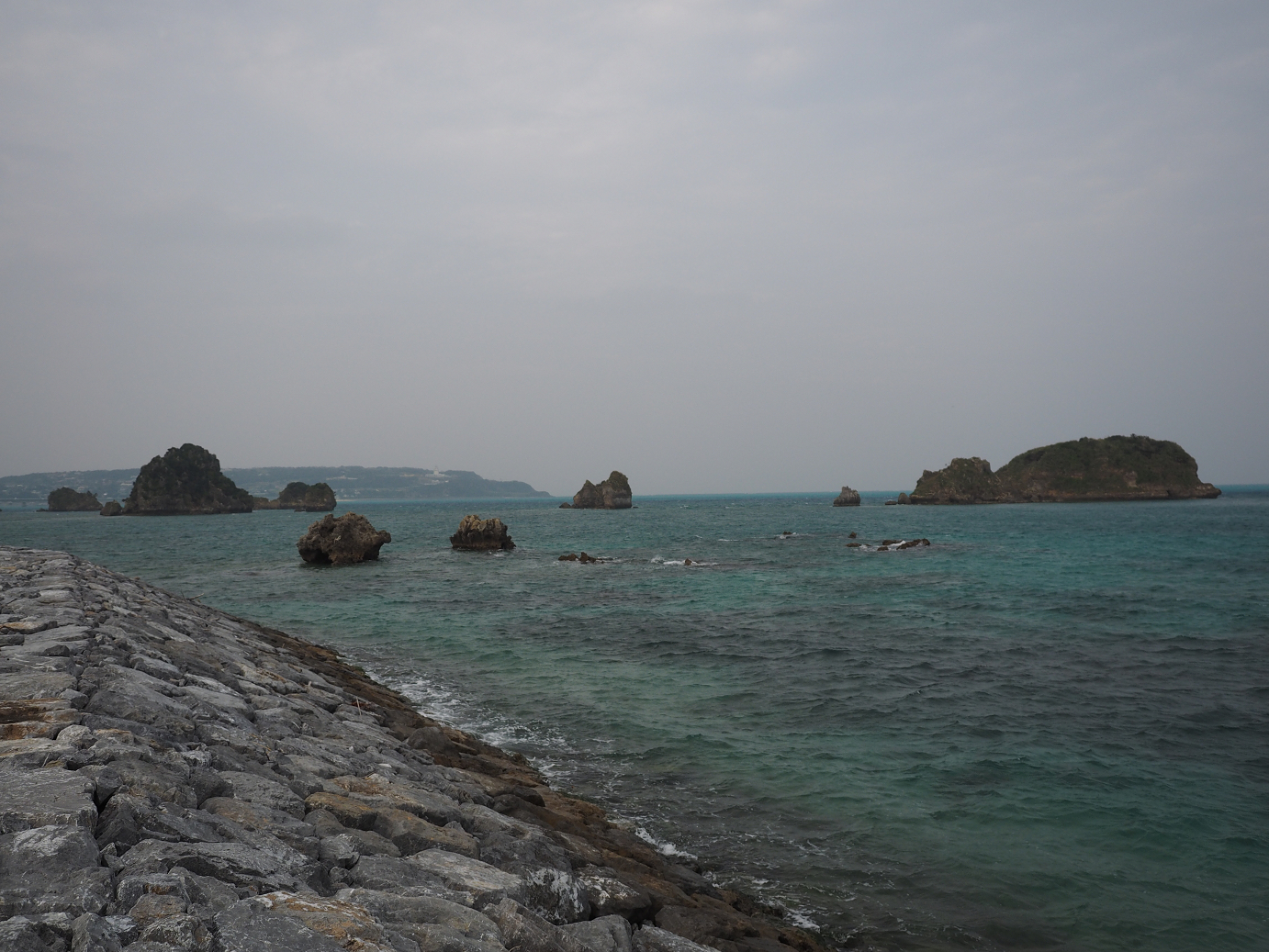 P1191515.jpg