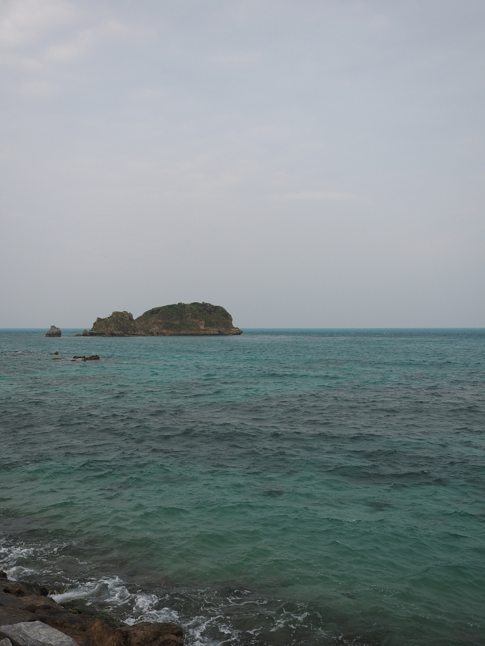P1191517.jpg