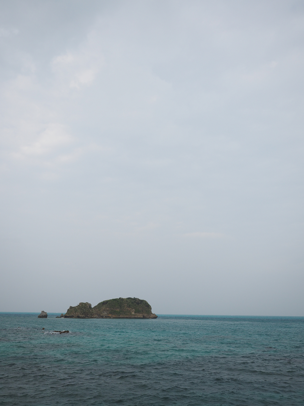 P1191518.jpg