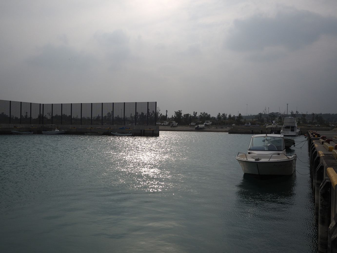P1191545.jpg