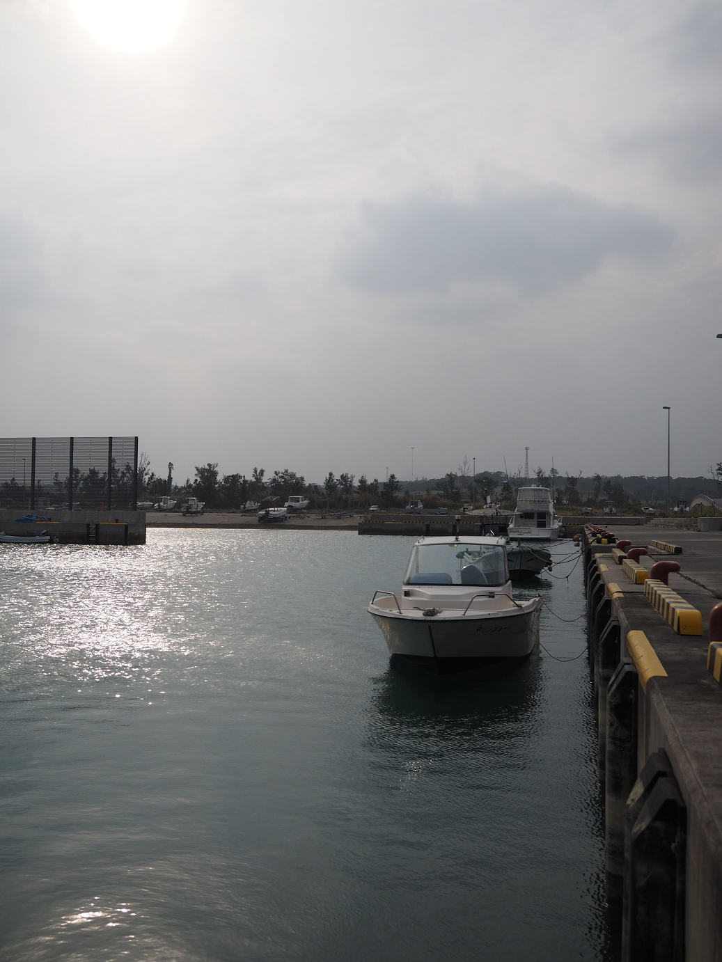 P1191548.jpg