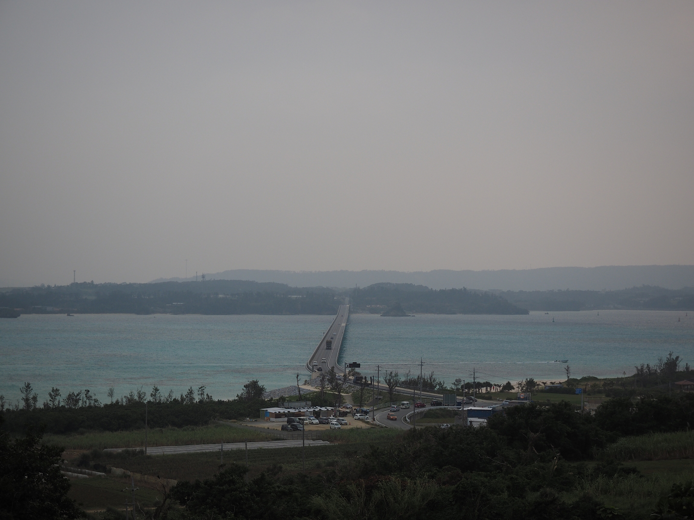 P1191549.jpg