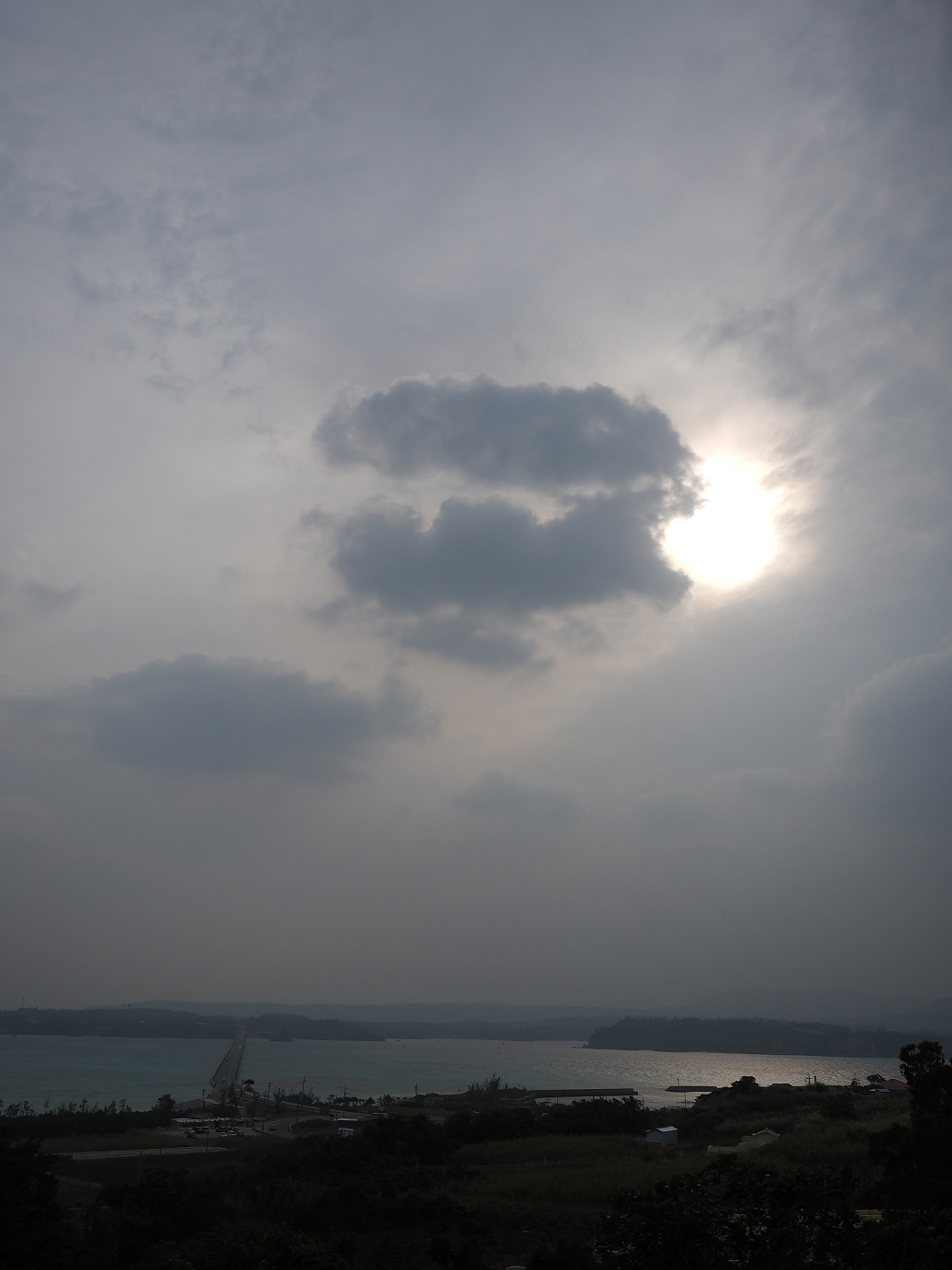 P1191557.jpg