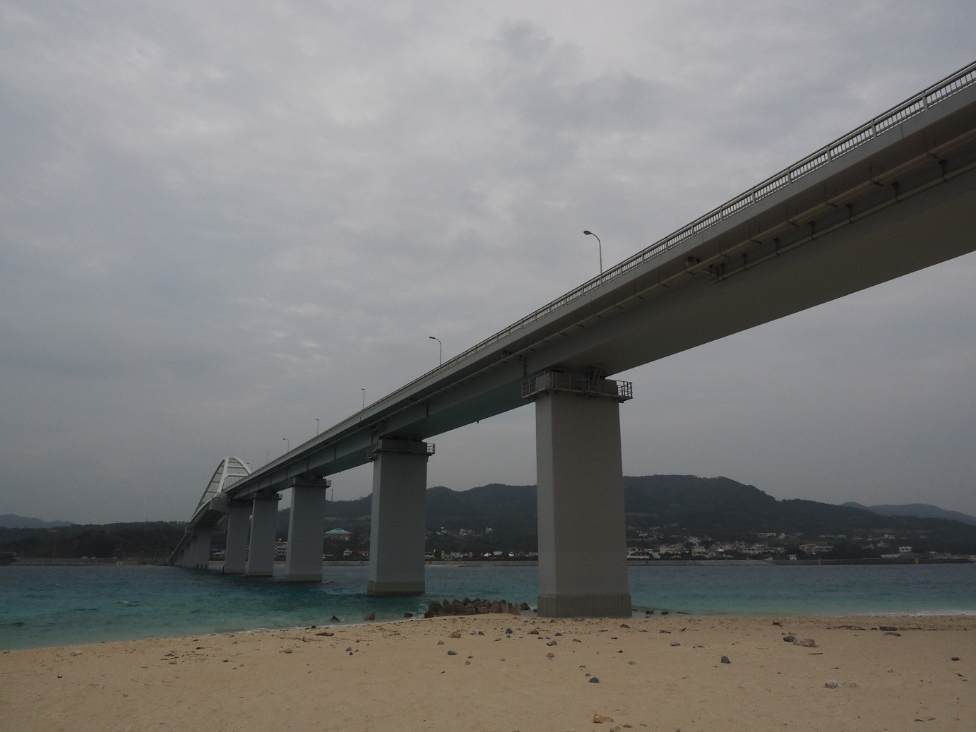 P1191563.jpg