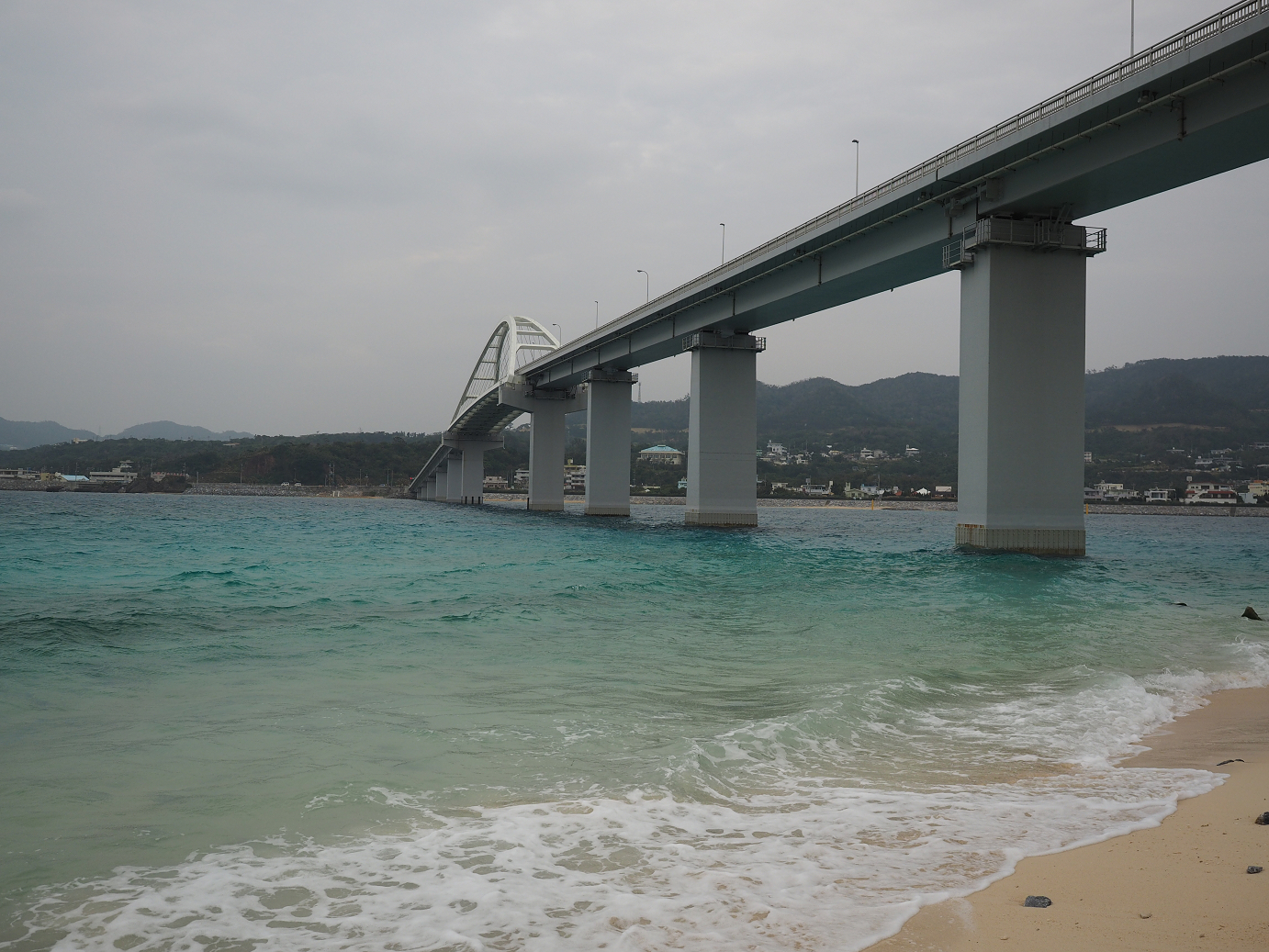 P1191566.jpg