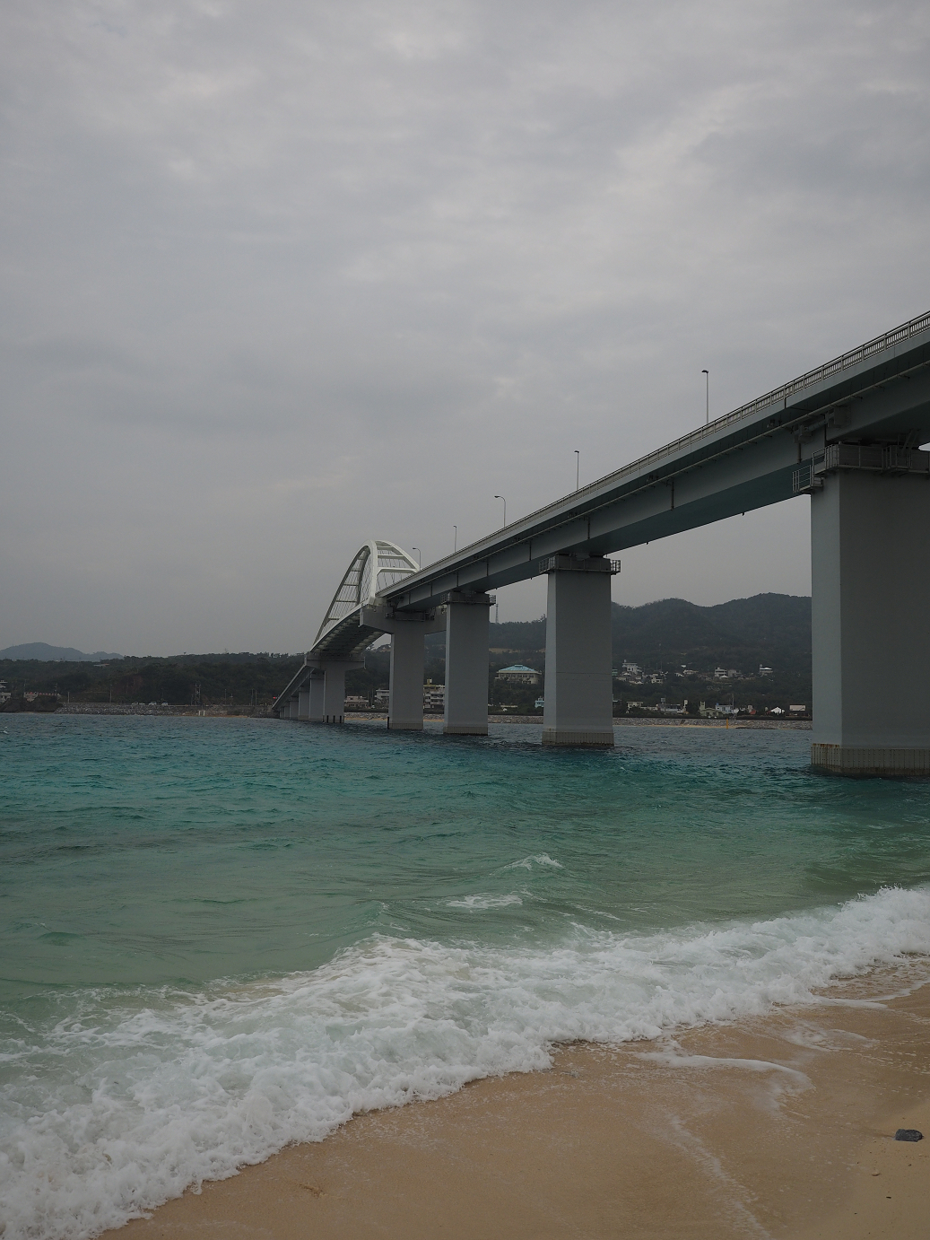 P1191568.jpg