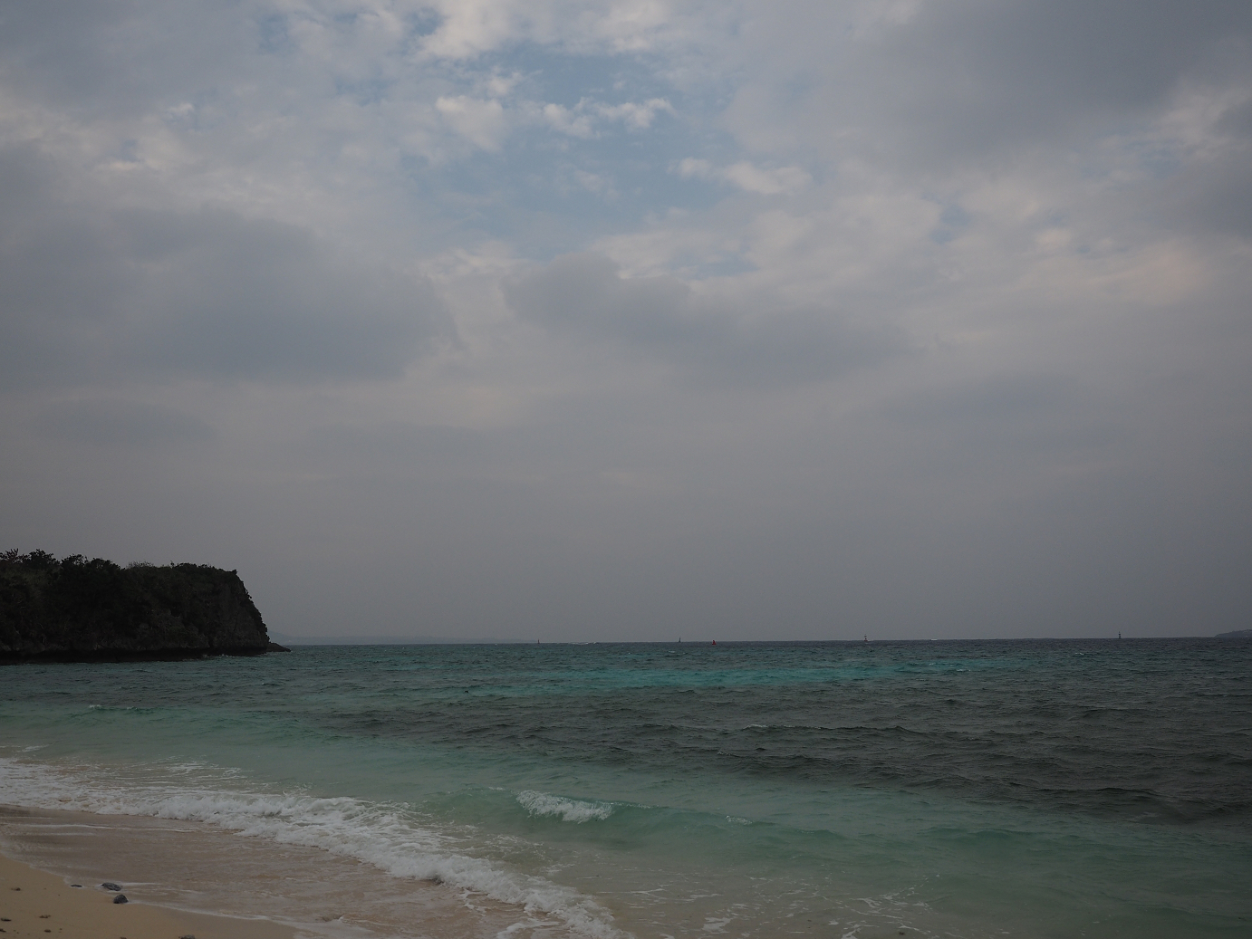 P1191573.jpg