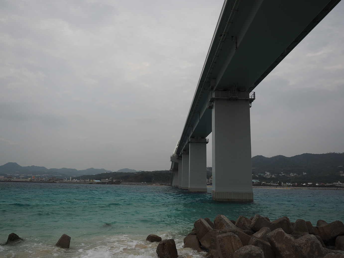 P1191577.jpg