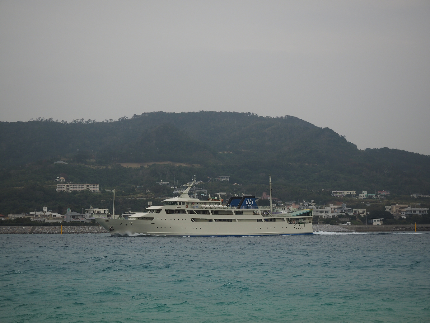 P1191590.jpg