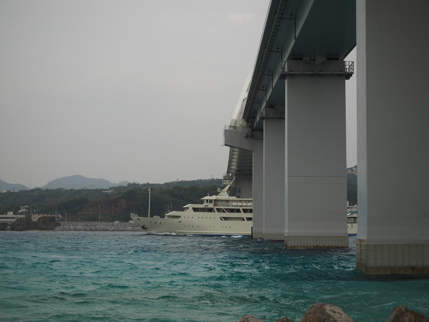 P1191595.jpg