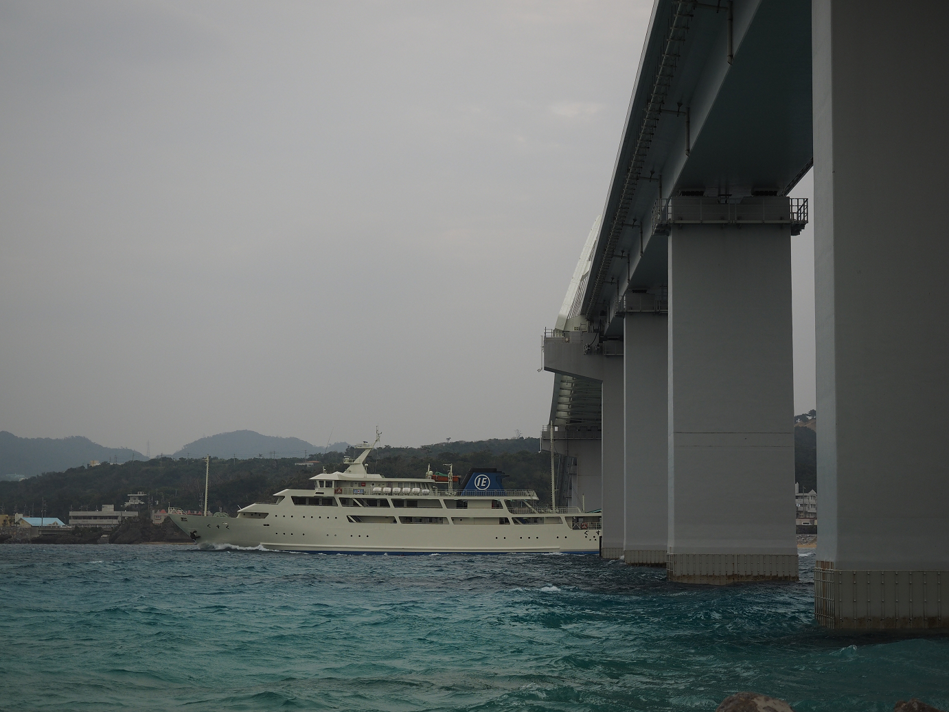 P1191598.jpg