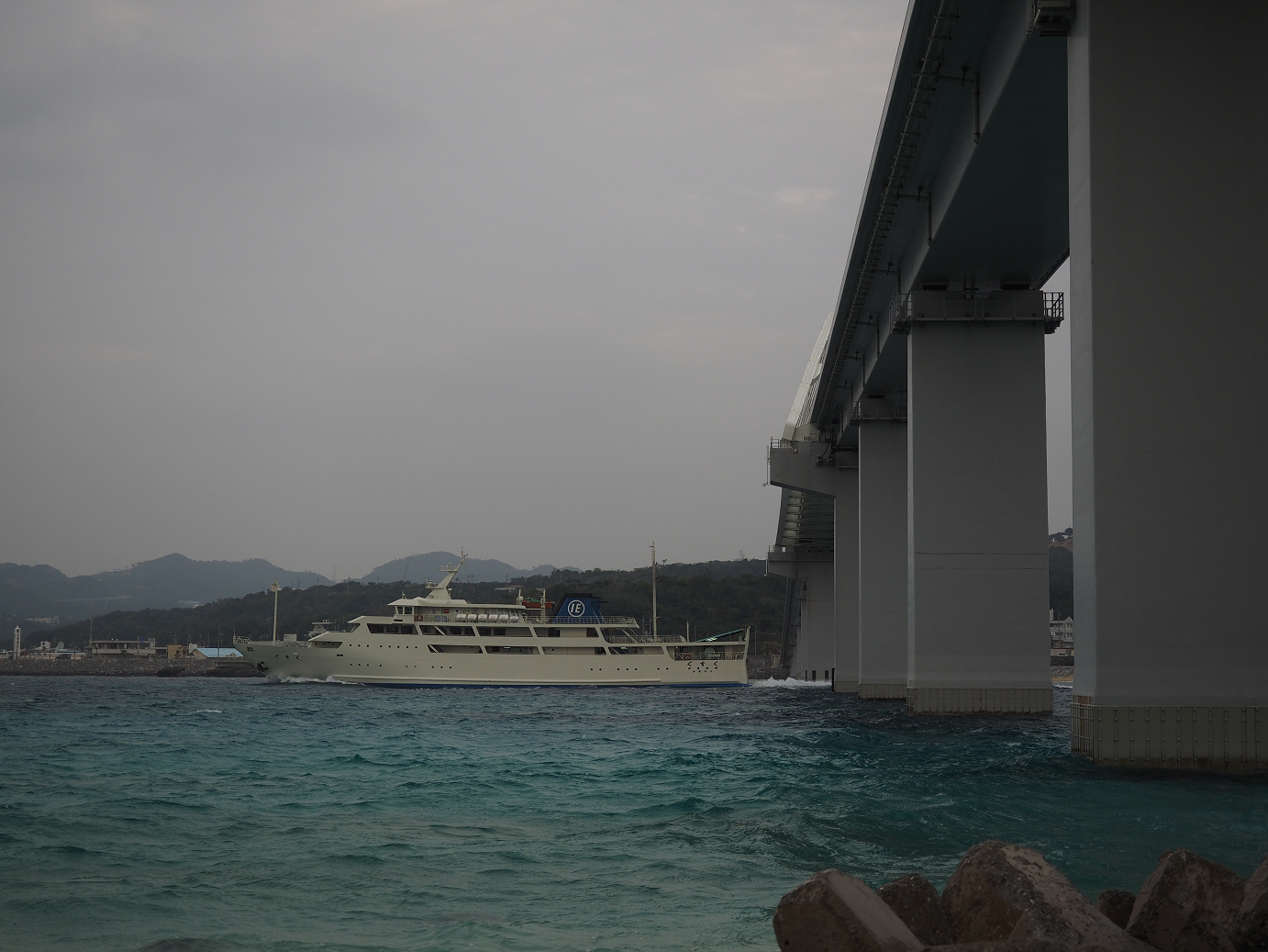 P1191600.jpg