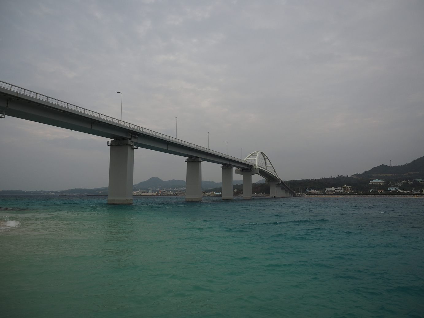 P1191605.jpg