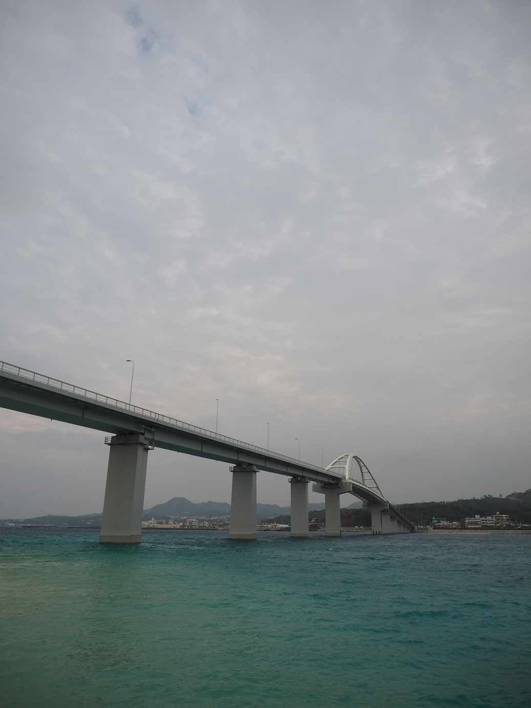 P1191609.jpg