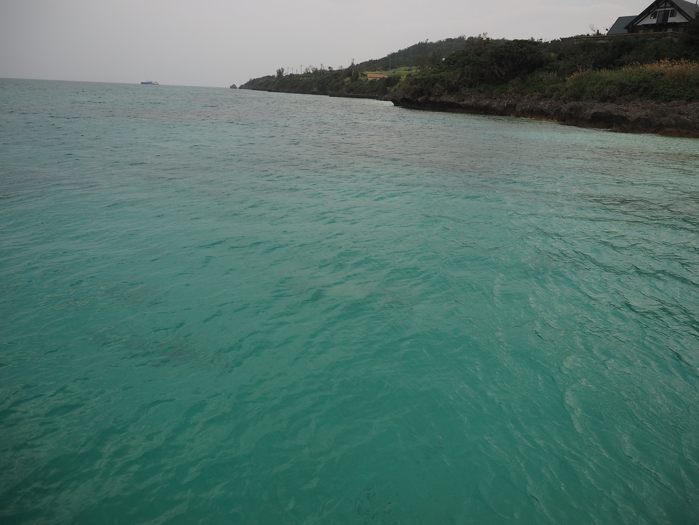 P1191610.jpg